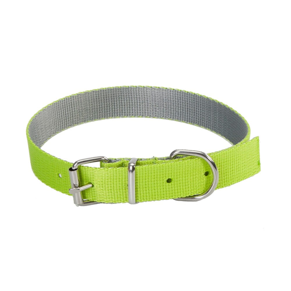 Dingo Energy Silver Collar Green