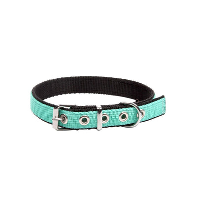 Dingo Energy Collar Mint