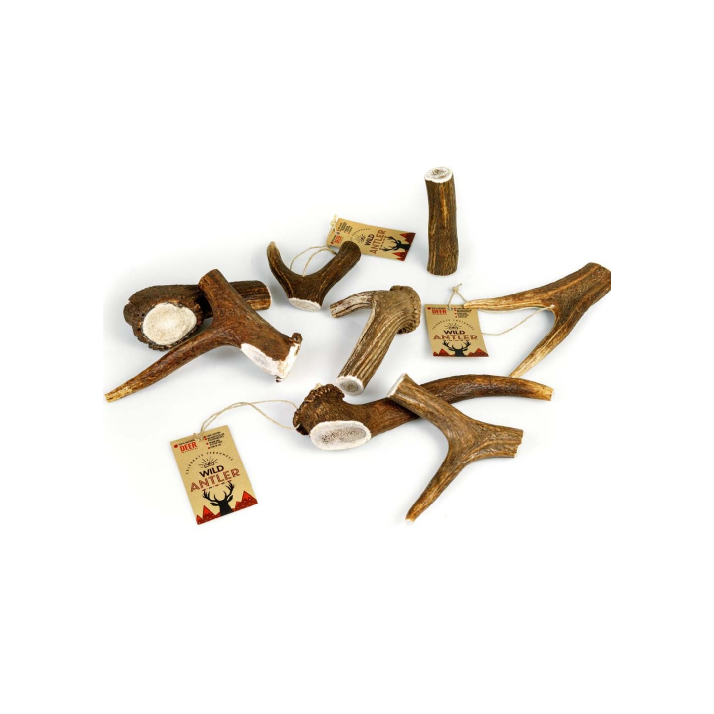 Celebrate Freshness Red Deer Antler