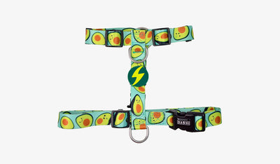Dashi Avocado Back Harness — official Dashi product photo