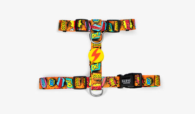 Dashi Boom Back Harness — official Dashi product photo