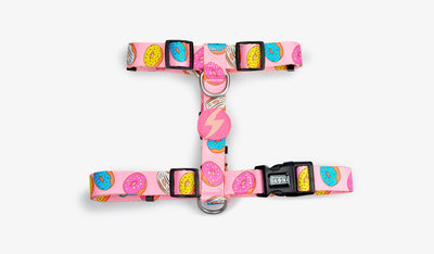 Dashi Donut Back Harness — official Dashi product photo