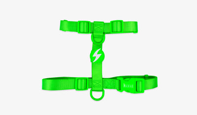 Dashi Neon Green Back Harness — official Dashi product photo