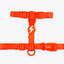 Dashi Neon Orange Back Harness — official Dashi product photo