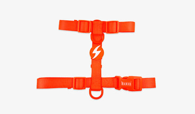 Dashi Neon Orange Back Harness — official Dashi product photo
