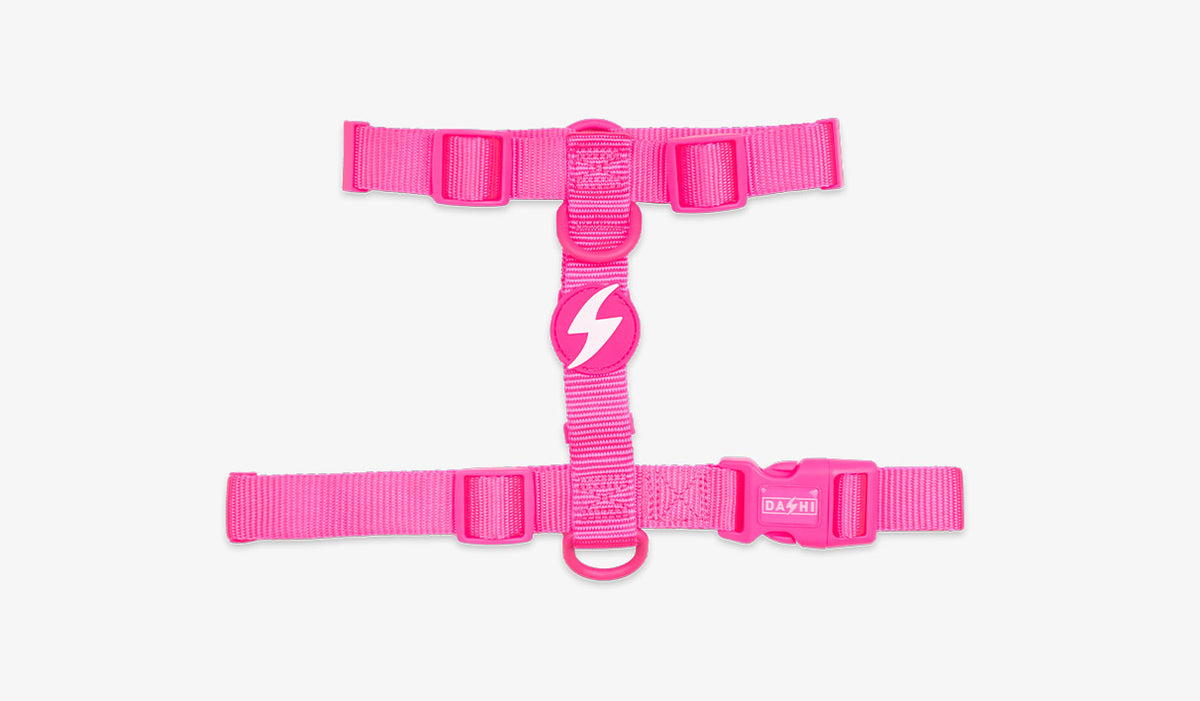 Dashi Neon Pink Back Harness — official Dashi product photo