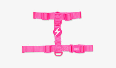 Dashi Neon Pink Back Harness — official Dashi product photo