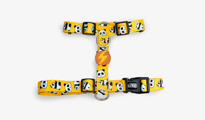 Dashi Snooze Back Harness — official Dashi product photo
