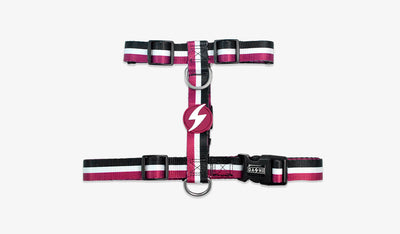 Dashi Stripes3 Purple & Black Back Harness — official Dashi product photo
