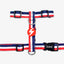 Dashi Stripes3 Red & Blue Back Harness — official Dashi product photo