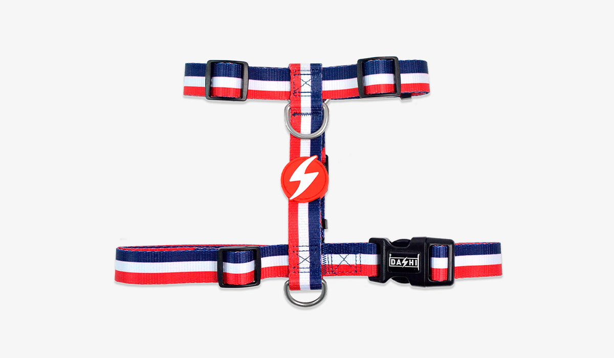 Dashi Stripes3 Red & Blue Back Harness — official Dashi product photo