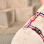 Dashi Stripes3 Red & Blue Back Harness — product view 4