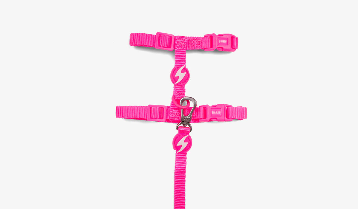 Dashi Neon Pink Cat Harness + Leash — official Dashi product photo