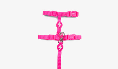 Dashi Neon Pink Cat Harness + Leash — official Dashi product photo