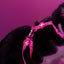 Dashi Neon Pink Cat Harness + Leash — product view 3