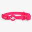 Dashi Colorflex Pink Cat Collar — official Dashi product photo