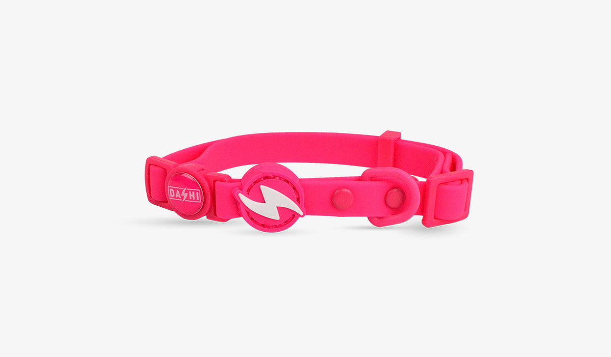 Dashi Colorflex Pink Cat Collar — official Dashi product photo