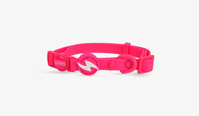 Dashi Colorflex Pink Cat Collar — official Dashi product photo