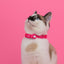 Dashi Colorflex Pink Cat Collar — product view 2