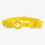 Dashi Colorflex Yellow Cat Collar — official Dashi product photo