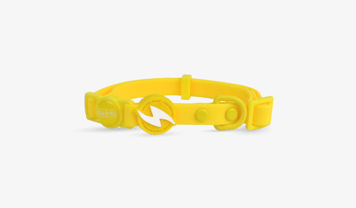 Dashi Colorflex Yellow Cat Collar — official Dashi product photo