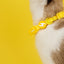 Dashi Colorflex Yellow Cat Collar — product view 2