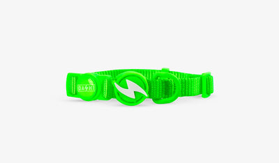 Dashi Neon Green Cat Collar — official Dashi product photo