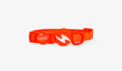 Dashi Neon Orange Cat Collar — official Dashi product photo