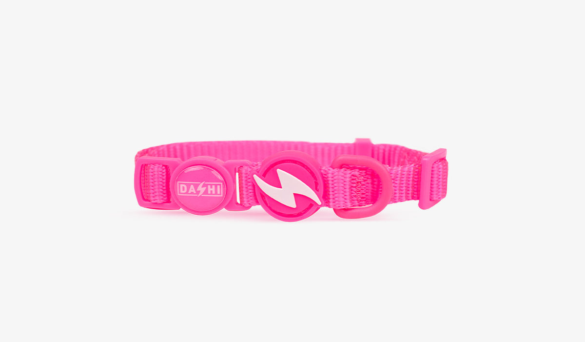 Dashi Neon Pink Cat Collar — official Dashi product photo