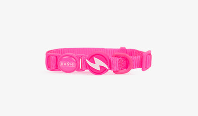 Dashi Neon Pink Cat Collar — official Dashi product photo