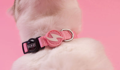 Dashi Solid Baby Pink Cat Collar — product view 2