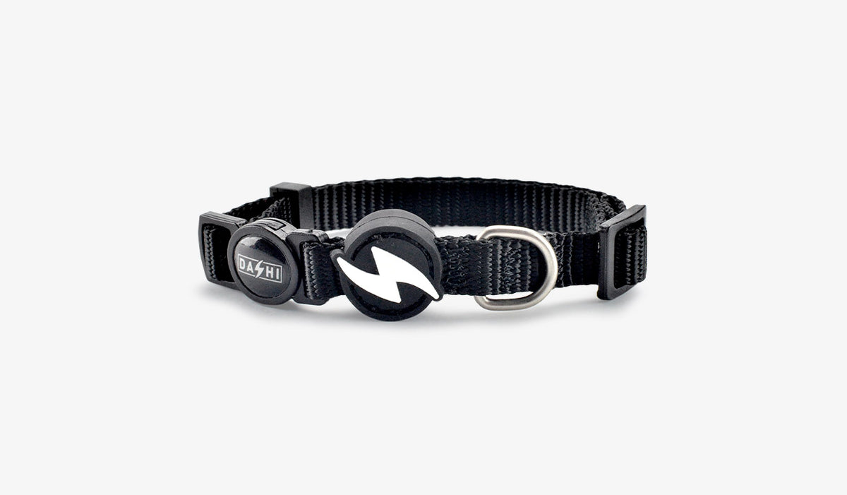 Dashi Solid Black Cat Collar — official Dashi product photo