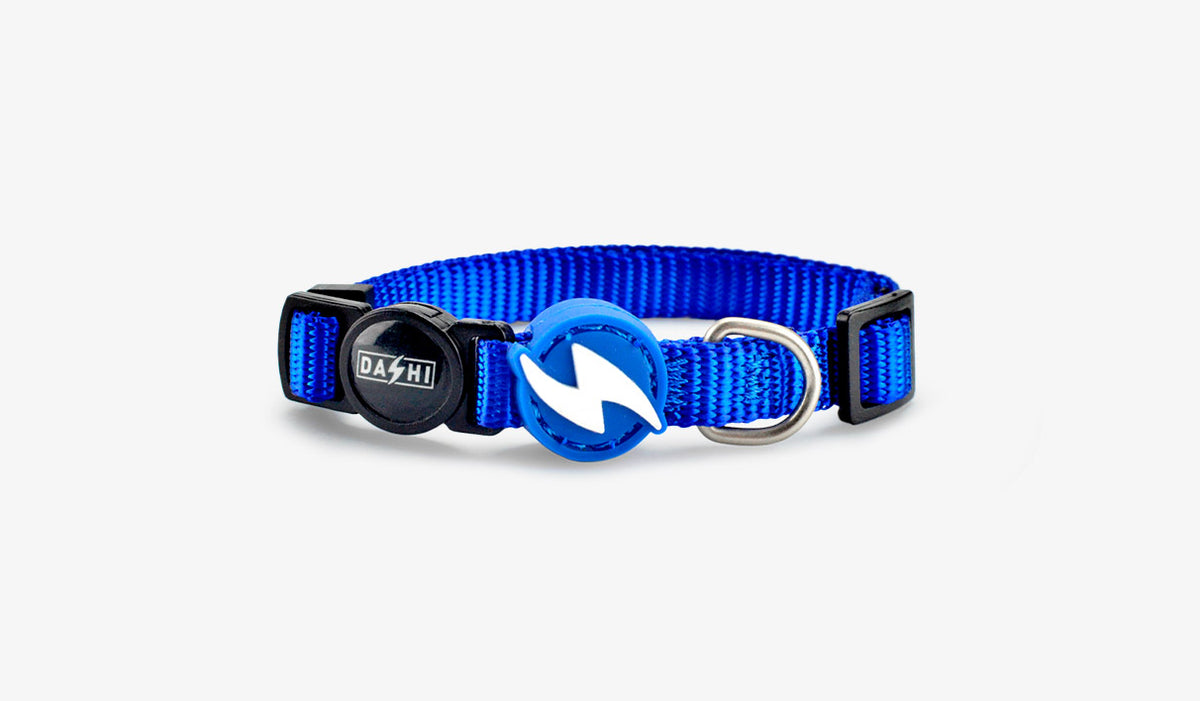Dashi Solid Blue Cat Collar — official Dashi product photo