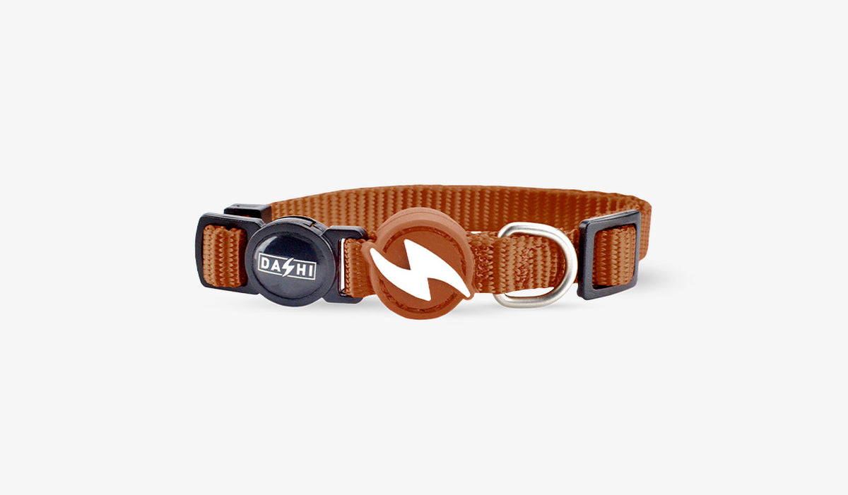 Dashi Solid Brown Cat Collar — official Dashi product photo