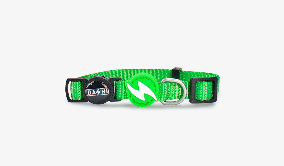 Dashi Solid Green Cat Collar — official Dashi product photo