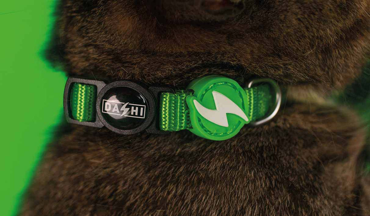 Dashi Solid Green Cat Collar — product view 2