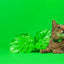 Dashi Solid Green Cat Collar — product view 3