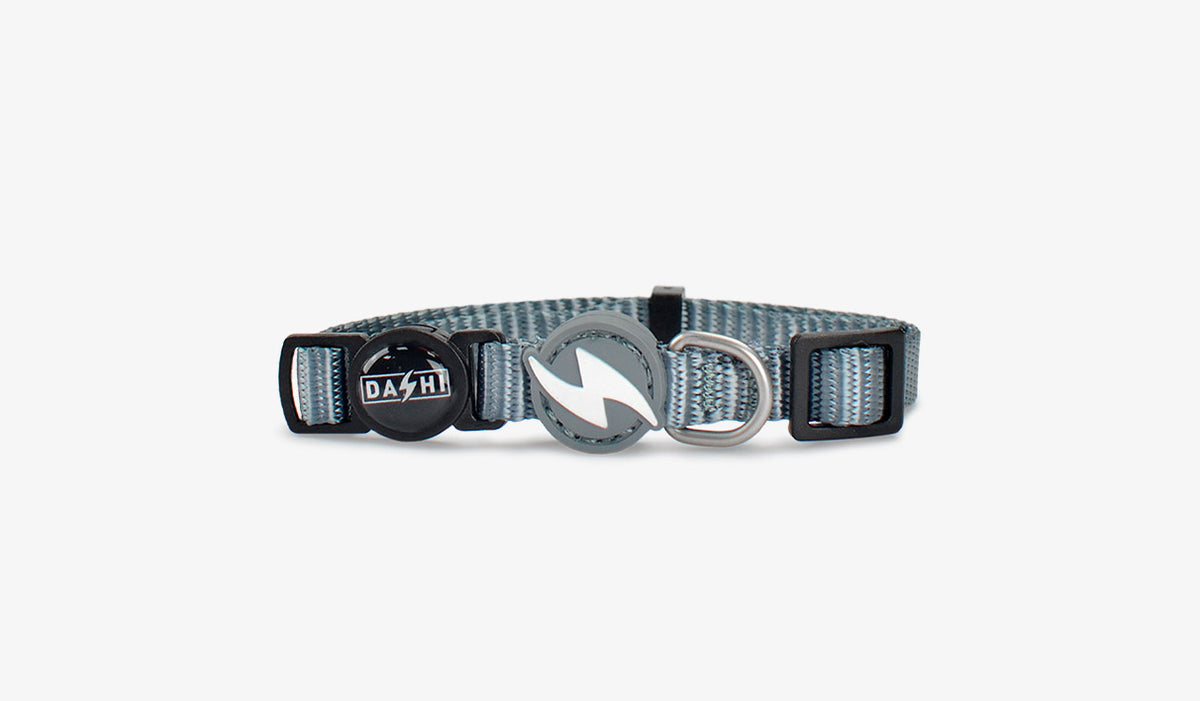 Dashi Solid Grey Cat Collar — official Dashi product photo