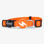 Dashi Solid Orange Cat Collar — official Dashi product photo