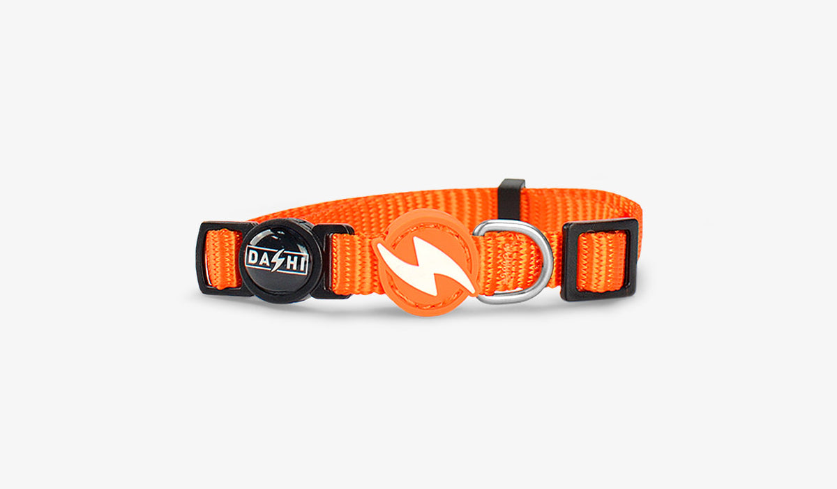 Dashi Solid Orange Cat Collar — official Dashi product photo