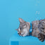 Dashi Solid Sky Blue Cat Collar — product view 4