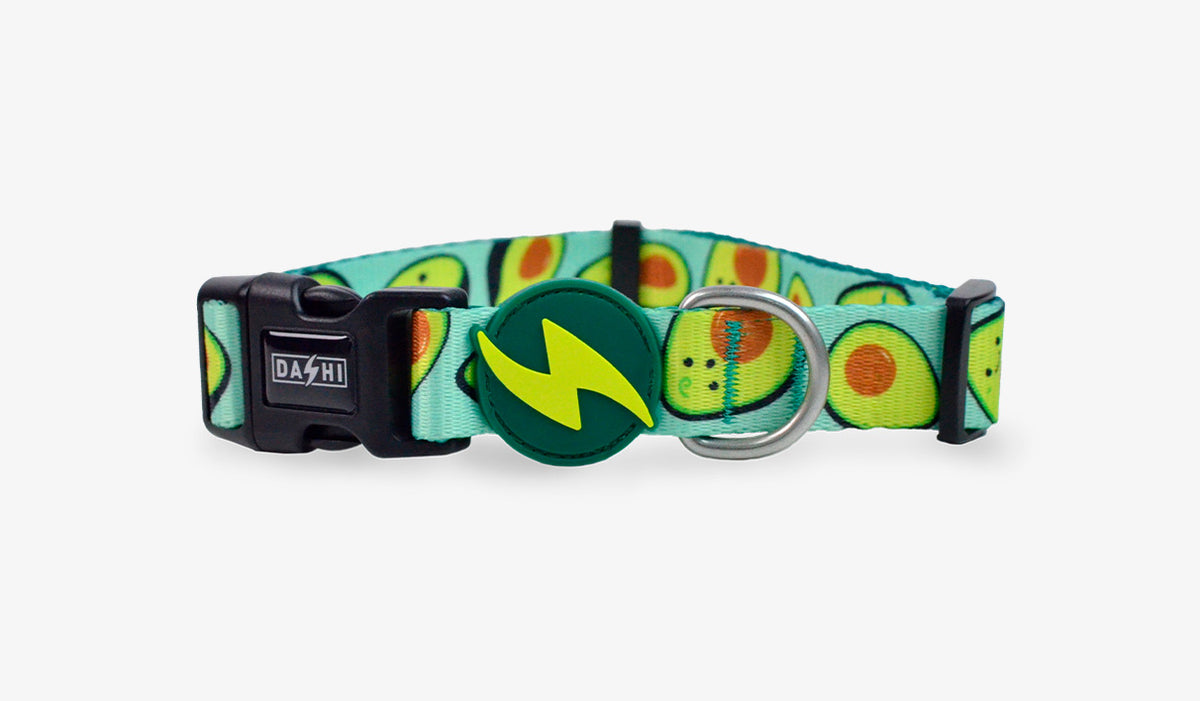 Dashi Avocado Collar — official Dashi product photo