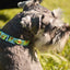 Dashi Avocado Collar — product view 2