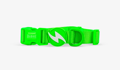 Dashi Neon Green Collar — official Dashi product photo