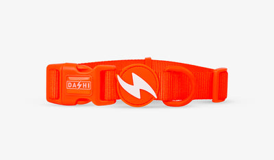 Dashi Neon Orange Collar — official Dashi product photo