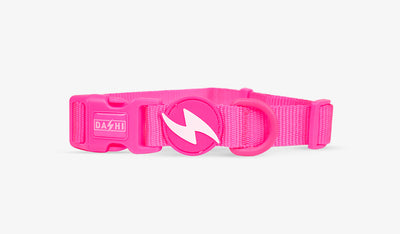 Dashi Neon Pink Collar — official Dashi product photo