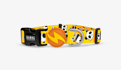 Dashi Snooze Collar — official Dashi product photo