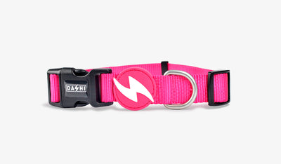 Dashi Solid Pink Collar — official Dashi product photo