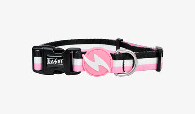 Dashi STRIPES³ Pink & Black Collar — official Dashi product photo