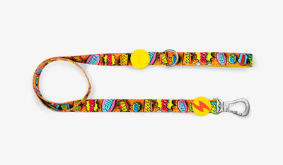 Dashi Boom Leash — official Dashi product photo